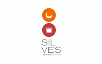 camara silves